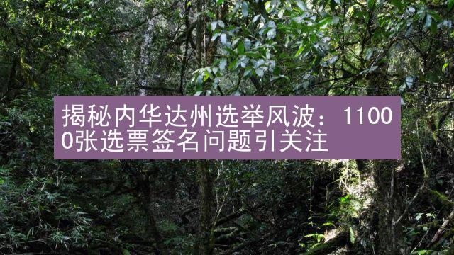 揭秘内华达州选举风波：11000张选票签名问题引关注